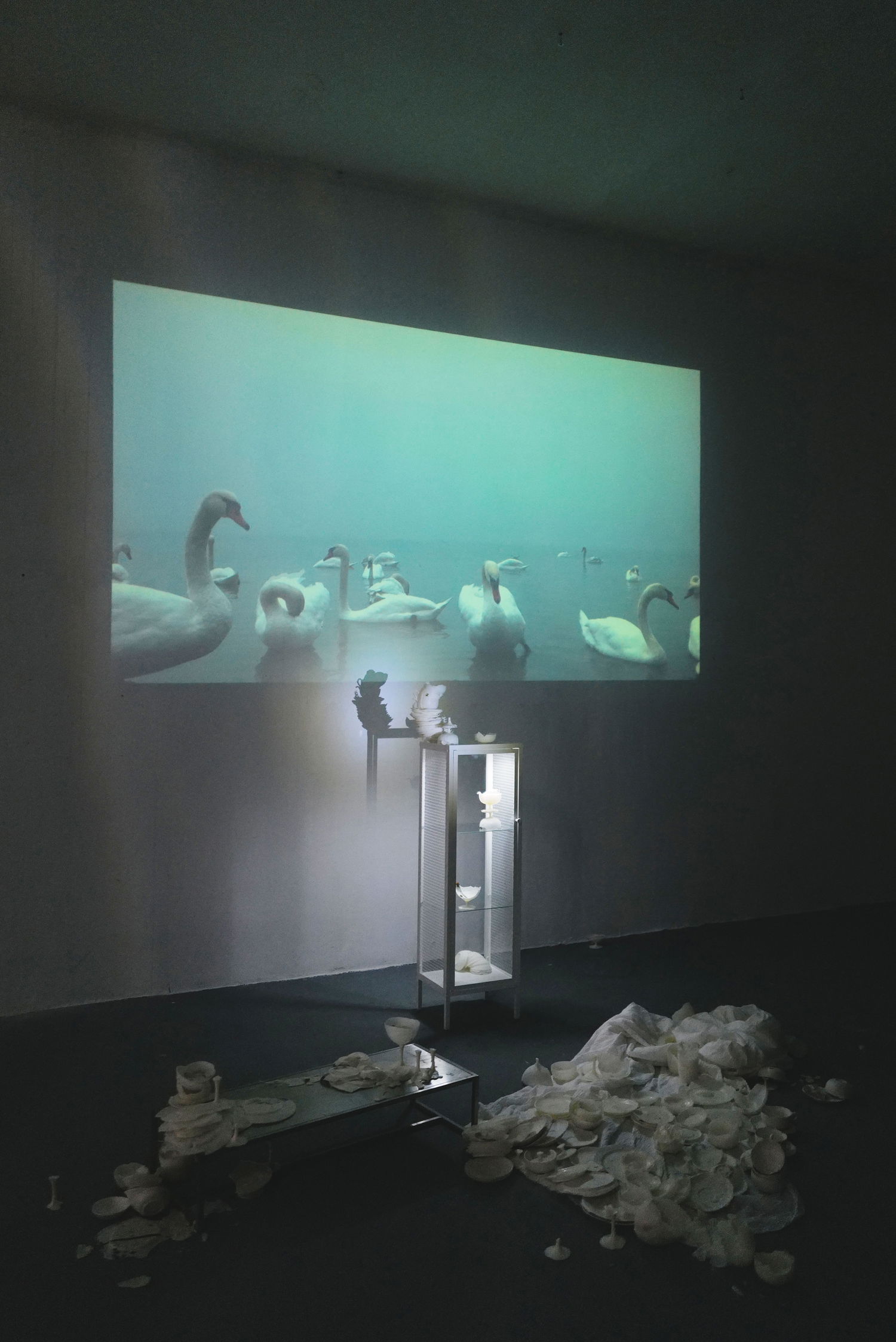 notion image