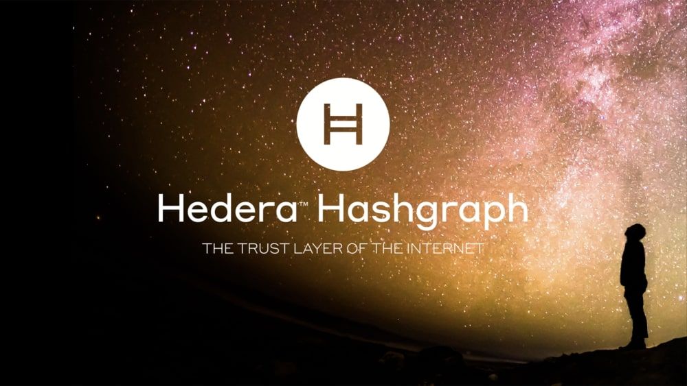 Hedera Hashgraph Protocol Explained - Creative Studio, Tech Blog - Colorless Identity