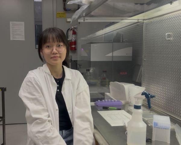 A daring application and hard work earn Stella Chen the top plant biology undergraduate award - Department of Cell & Systems Biology