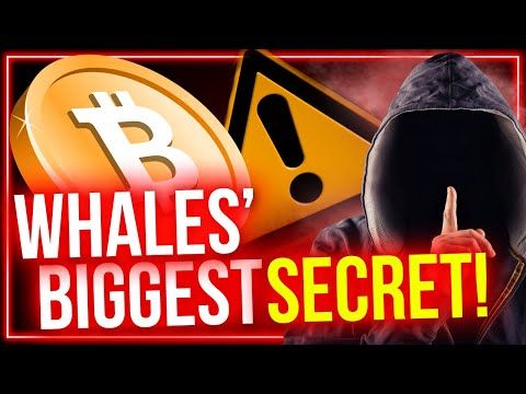 5 Secrets Crypto Whales and Insiders Don't Want You To Know (But You Should)