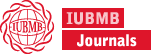 notion image
