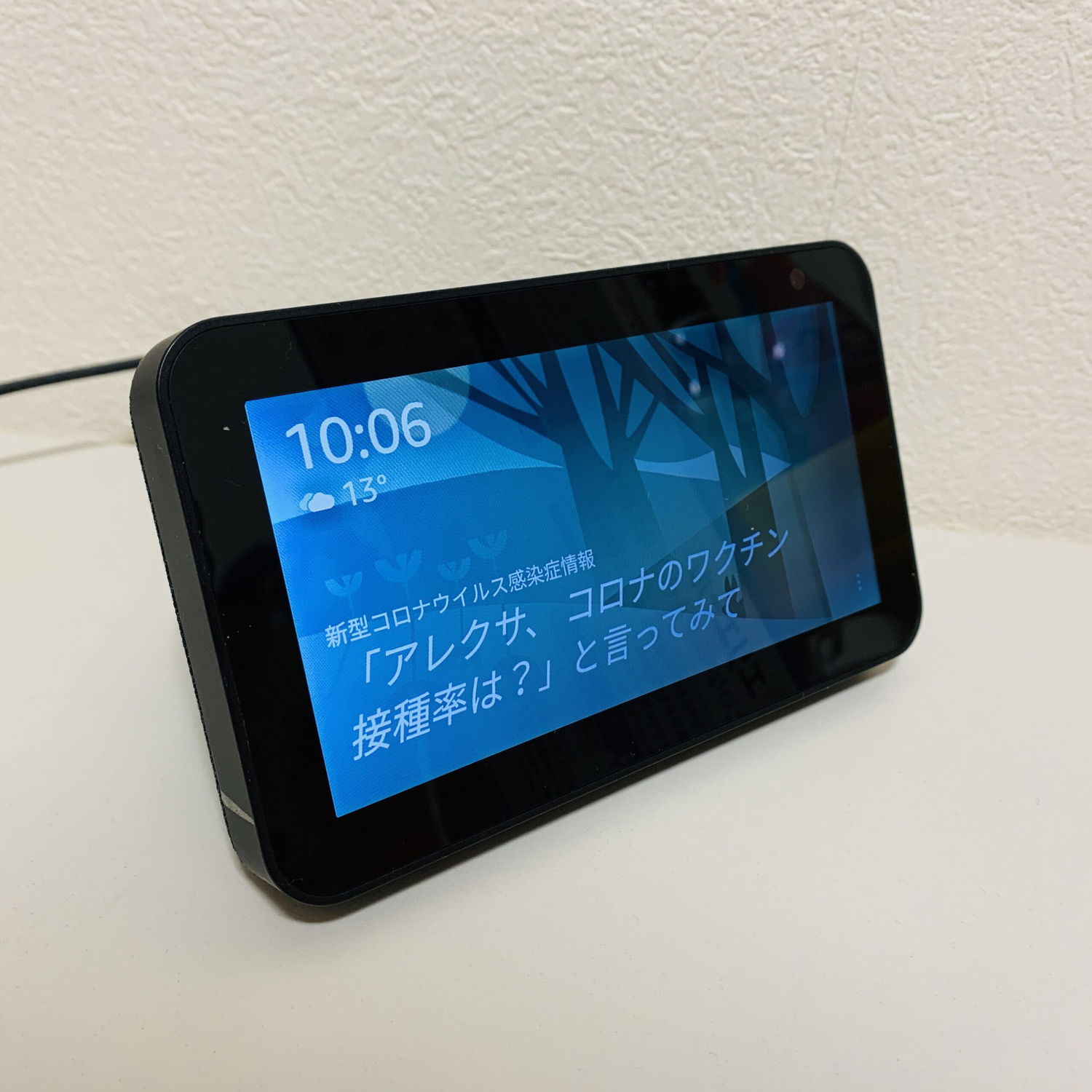 【アレクサ】AIスピーカー Echo Show 5でできること【耳からインプット】