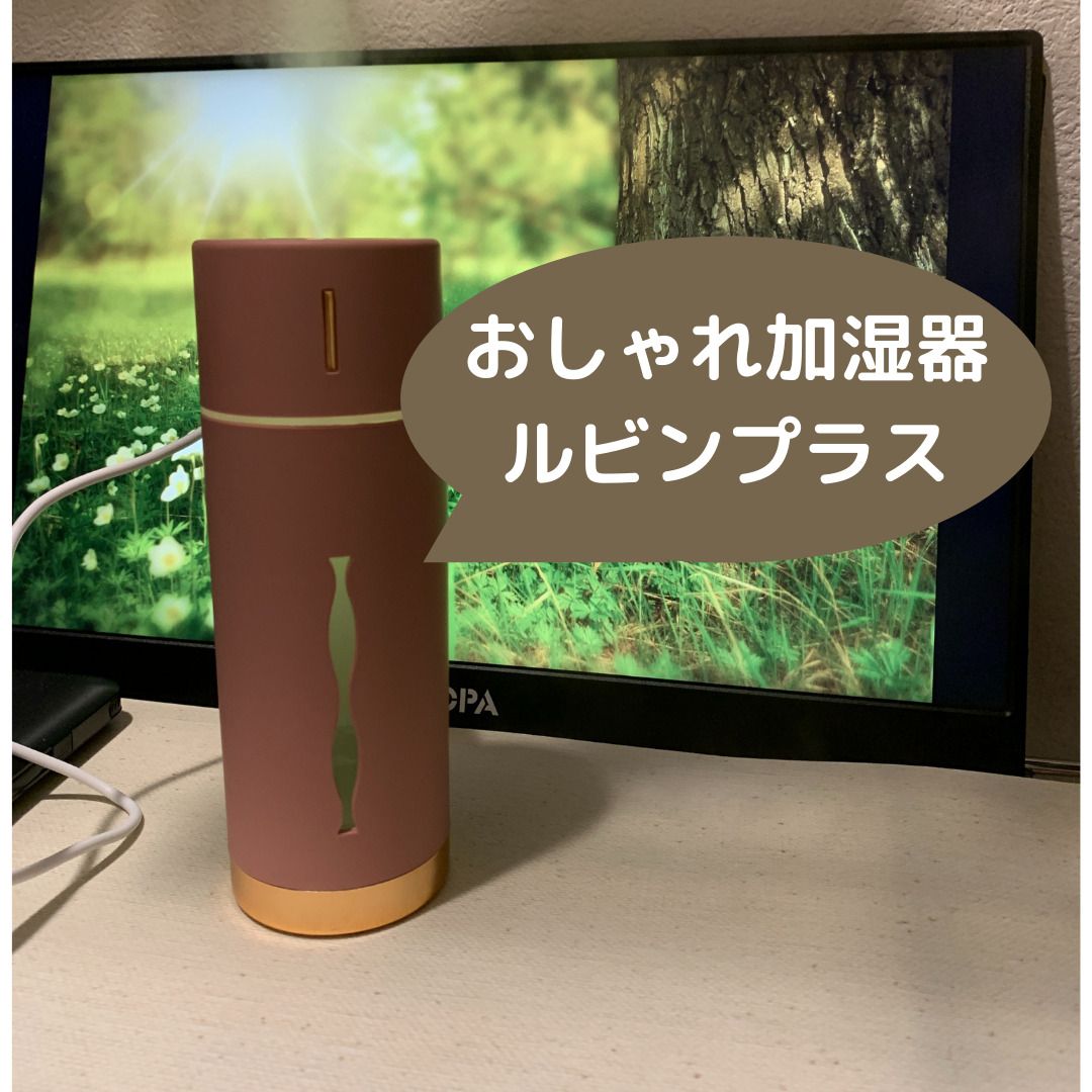 【おしゃれな卓上加湿器】ルビンプラスのレビュー　東洋ケース（メーカ名）