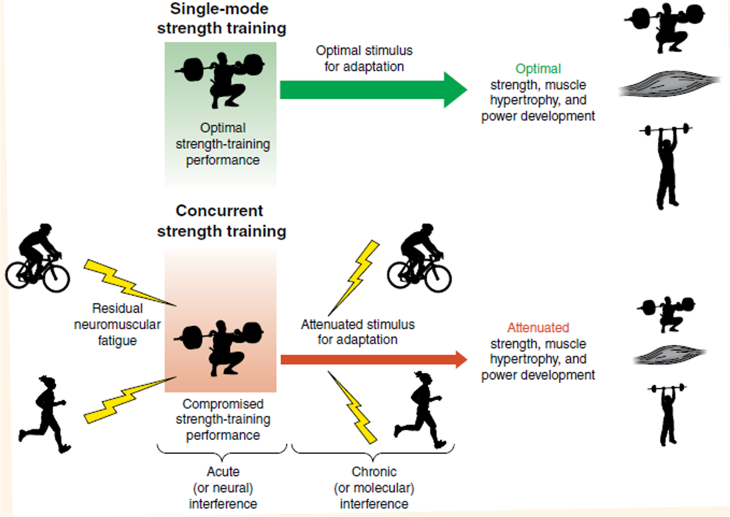 Science and application of High Intensity Interval Training (Laursen and Buchheit)