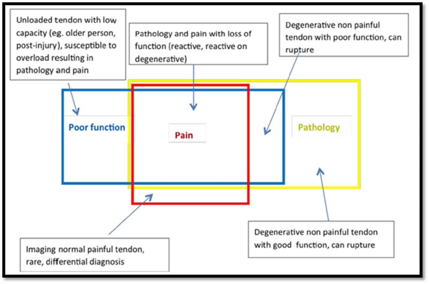 Imagen 2. Relación entre funcionalidad, dolor y patología estructural en el tendón [8].