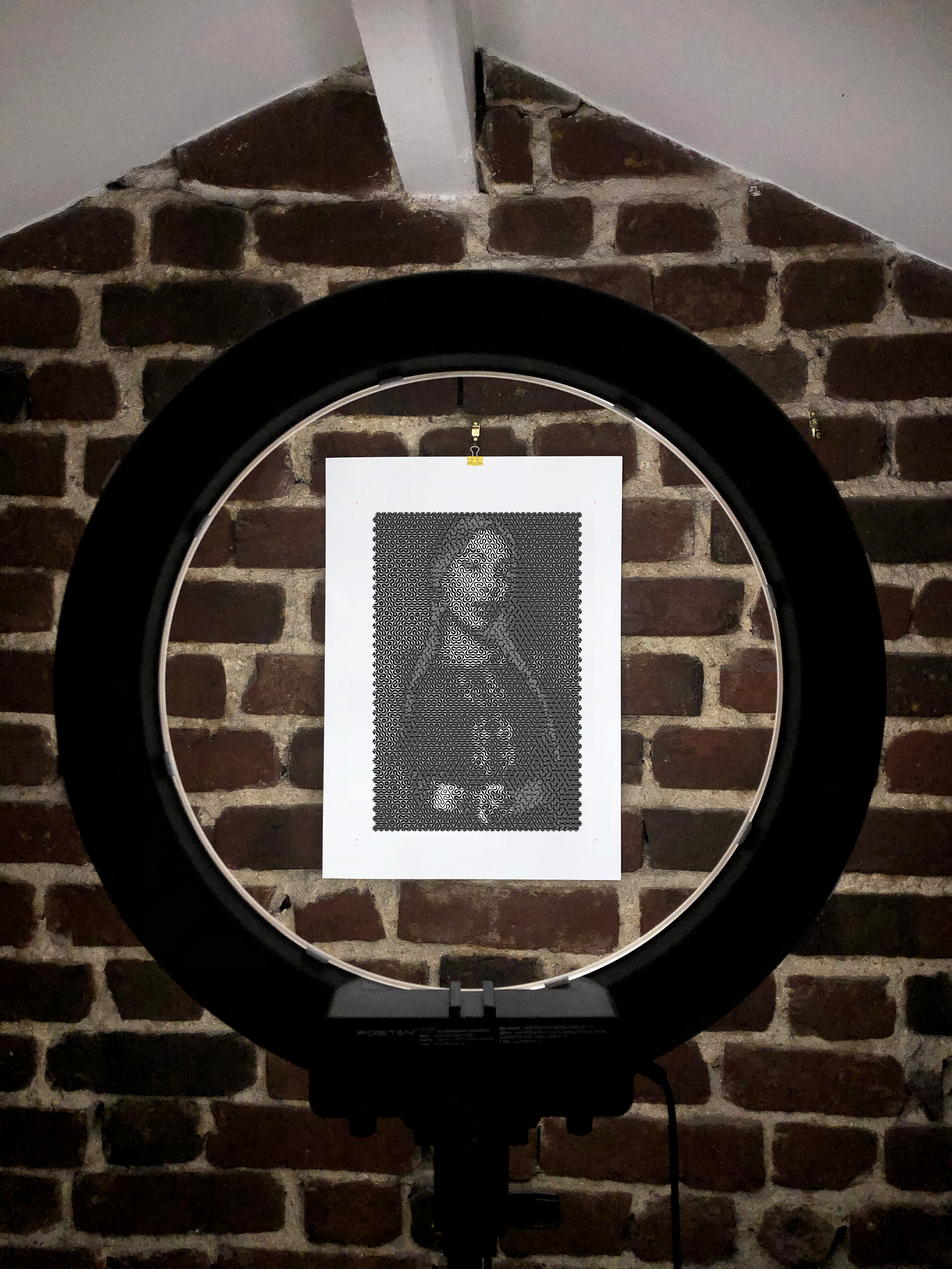 notion image