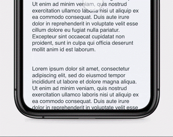 notion image