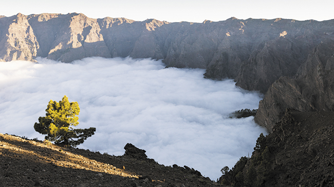 Caldera de Taburiente