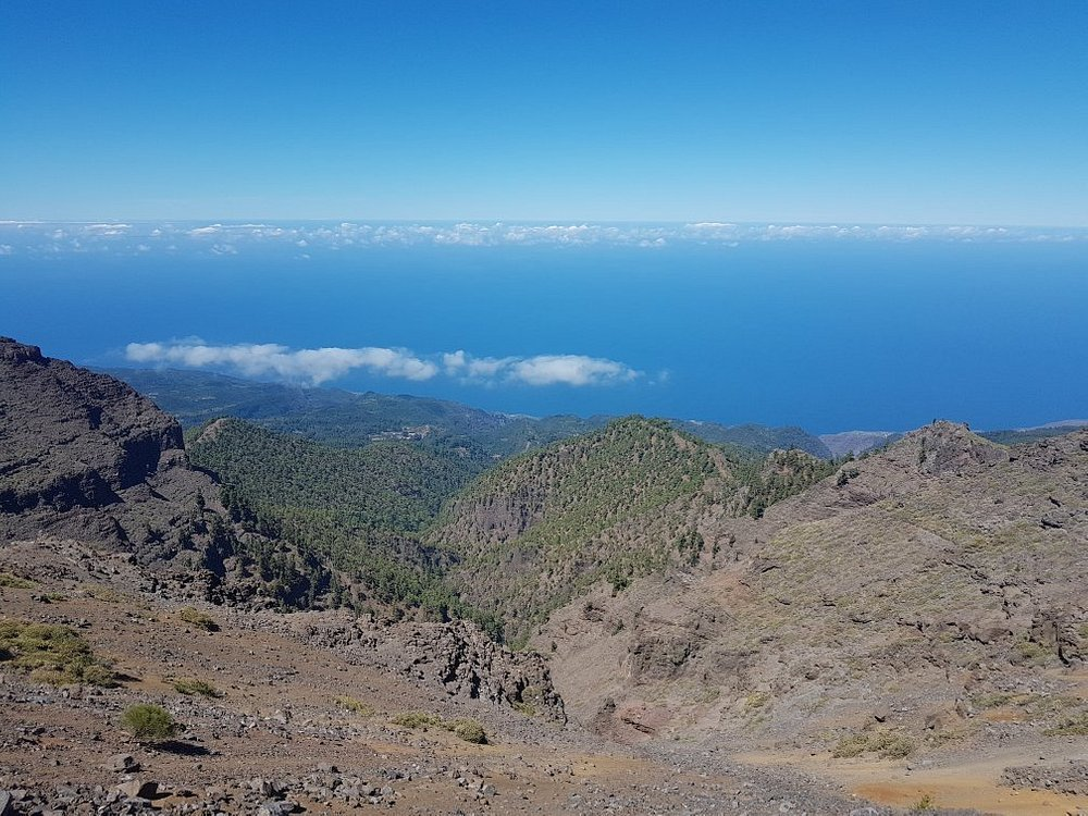 Mirador de las flores