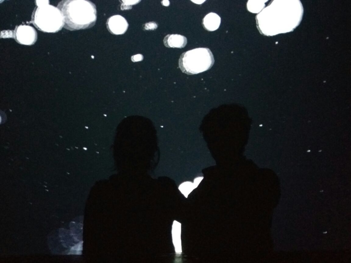 Shadow clicked at the National Gallery of Modern Art, on a projector screen