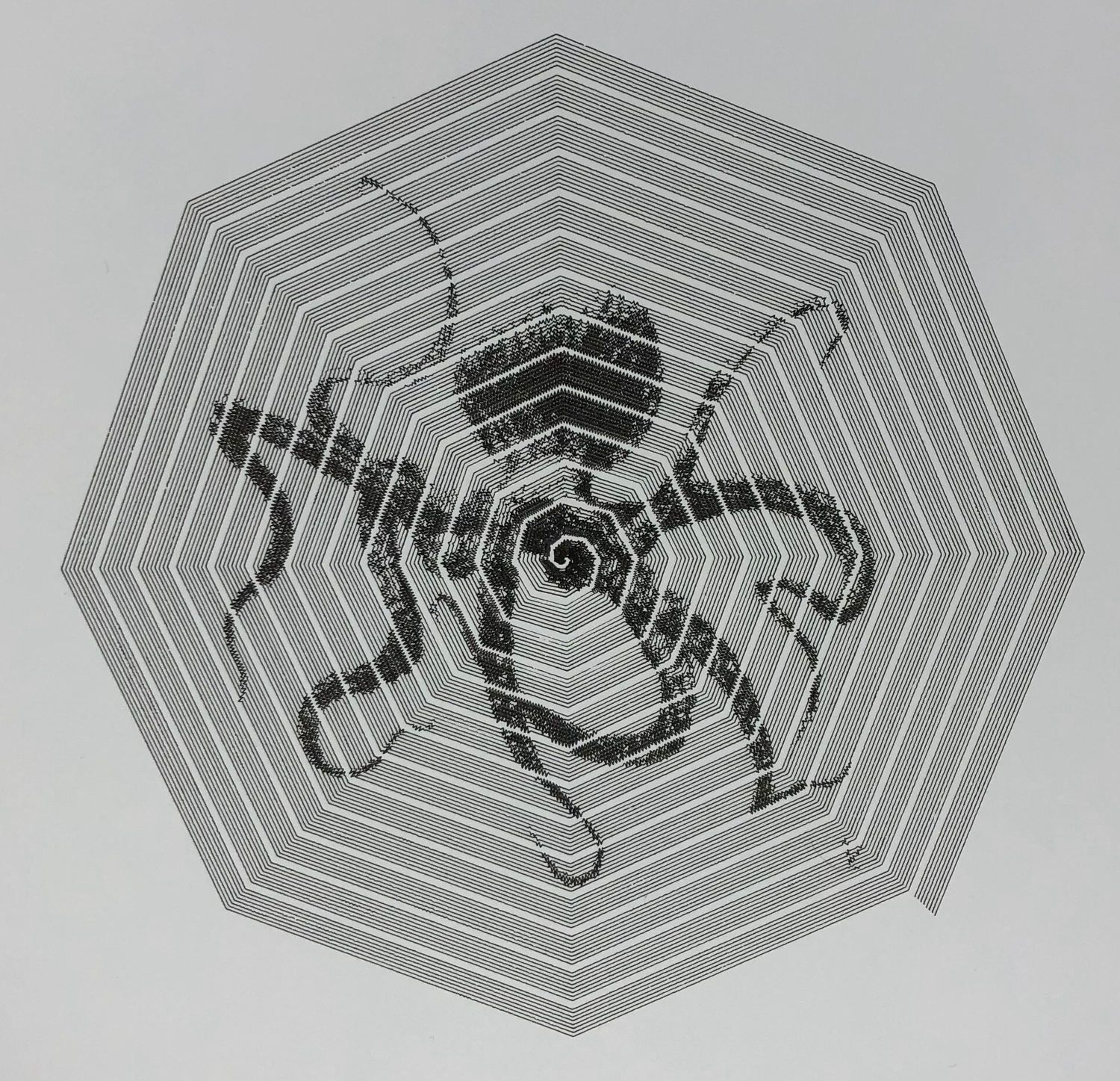 notion image