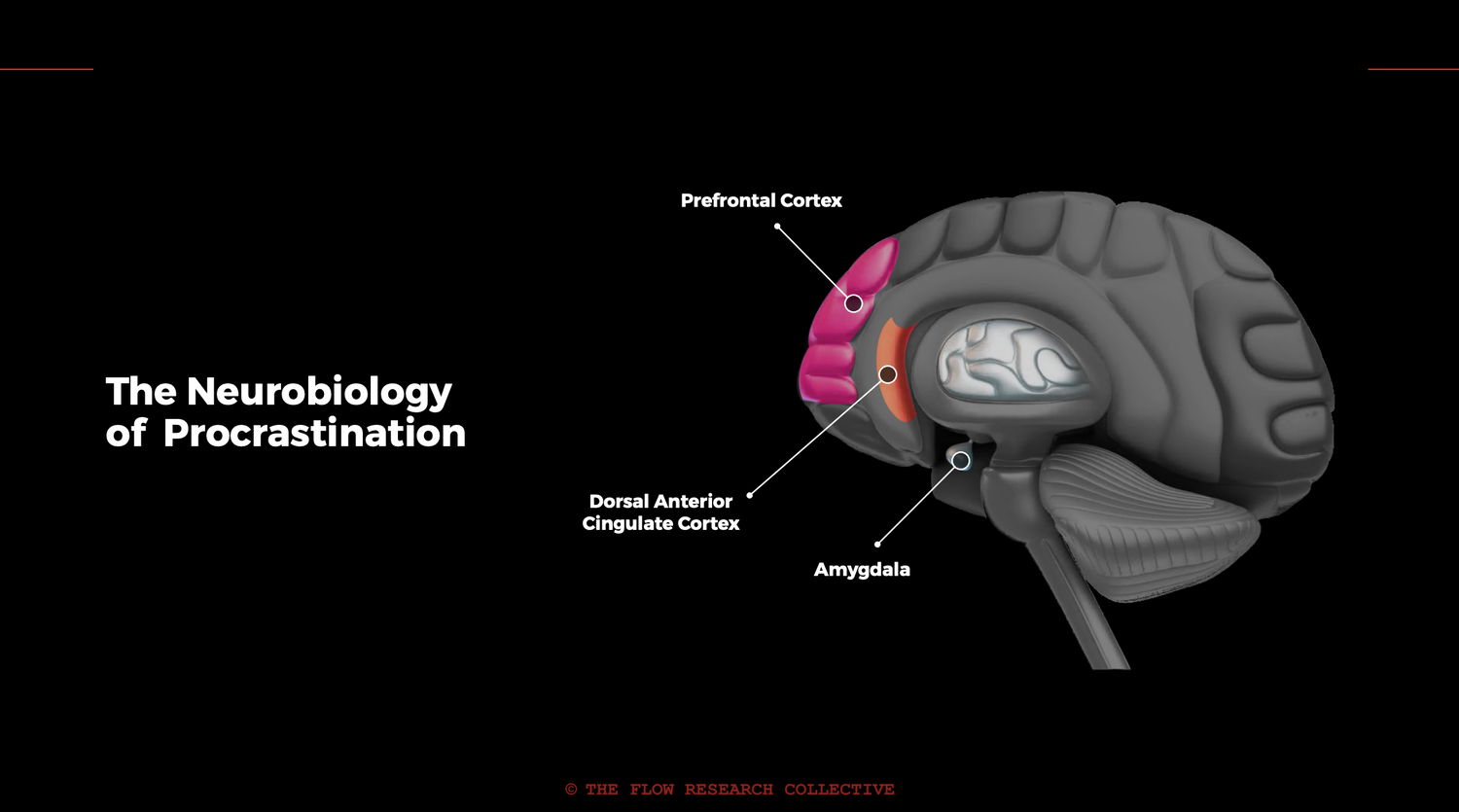 notion image