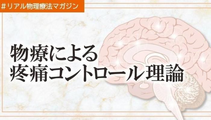 物療による効果〜疼痛コントロール編〜 | セラピストキャンプ