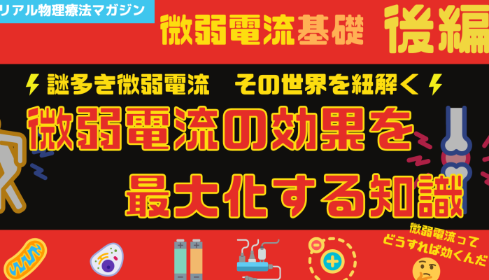 微弱電流治療　基礎（後編）「微弱電流効果を最大化する知識 | セラピストキャンプ