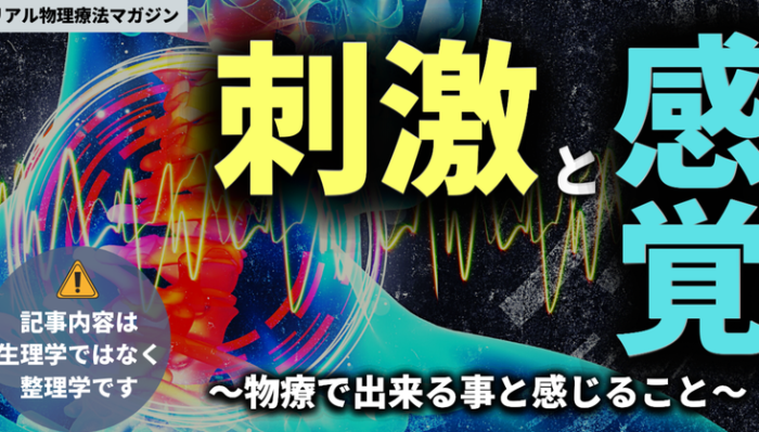 「刺激と感覚」～物療で出来る事と感じることの整理～ | セラピストキャンプ