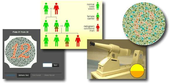 Colblindor - All about Color Blindness