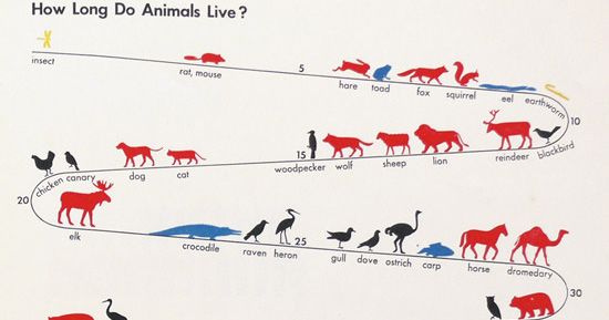 The Invention of ISOTYPE: How a Vintage Visual Language Paved the Way for the Infographics Age